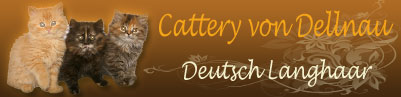 Cattery von Dellnau