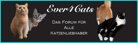 ever4Cats.de