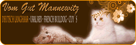 Cattery vom Gut Mannewitz