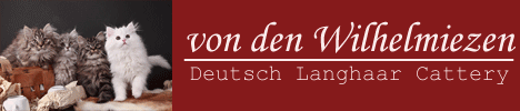 Cattery "von den Wilhelmiezen"